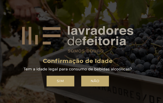 Lançamento de Loja Online e página de internet renovada.